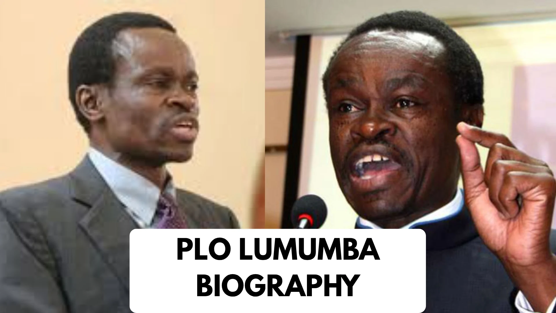 PLO Lumumba Biography