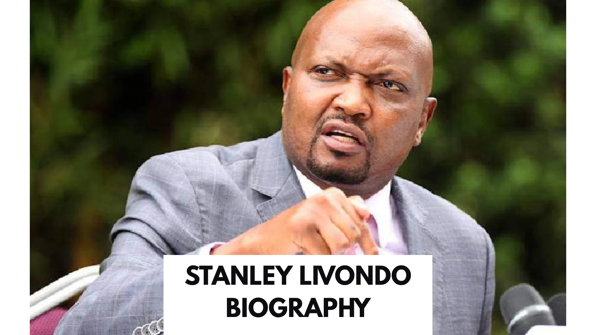 Stanley Livondo Biography