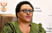 Thoko Didiza Biography